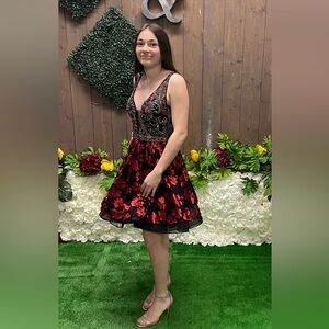 Vienna Party Dress